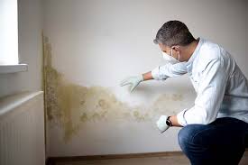 Best Asbestos and Lead Testing During Mold Inspection  in Laurens, SC